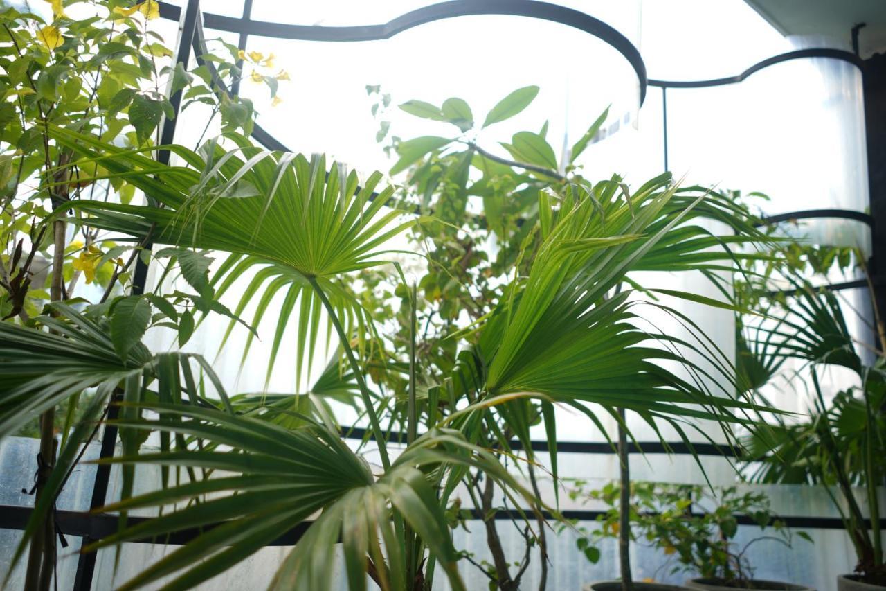The Garden Hotel & Apartment Đà Nẵng Kültér fotó