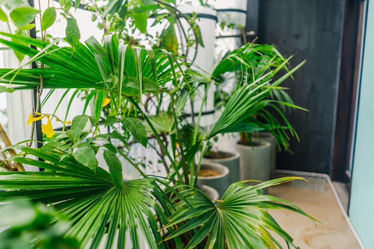 The Garden Hotel & Apartment Đà Nẵng Kültér fotó